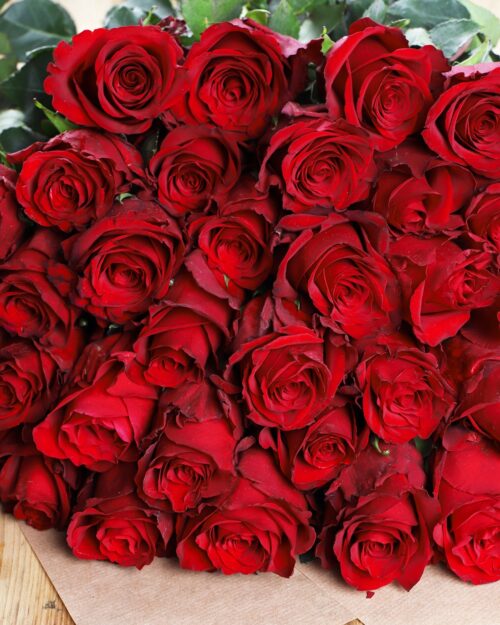 Luxury ‘Explorer’ Ecuadorean Roses