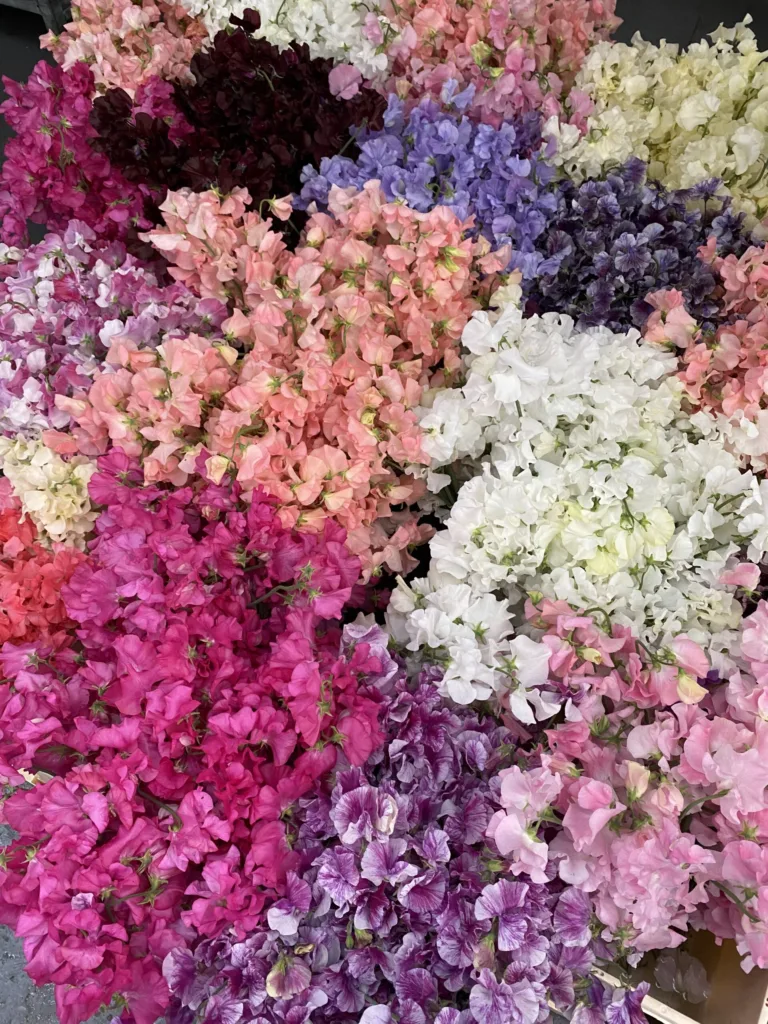 Luxury Flower Delivery London