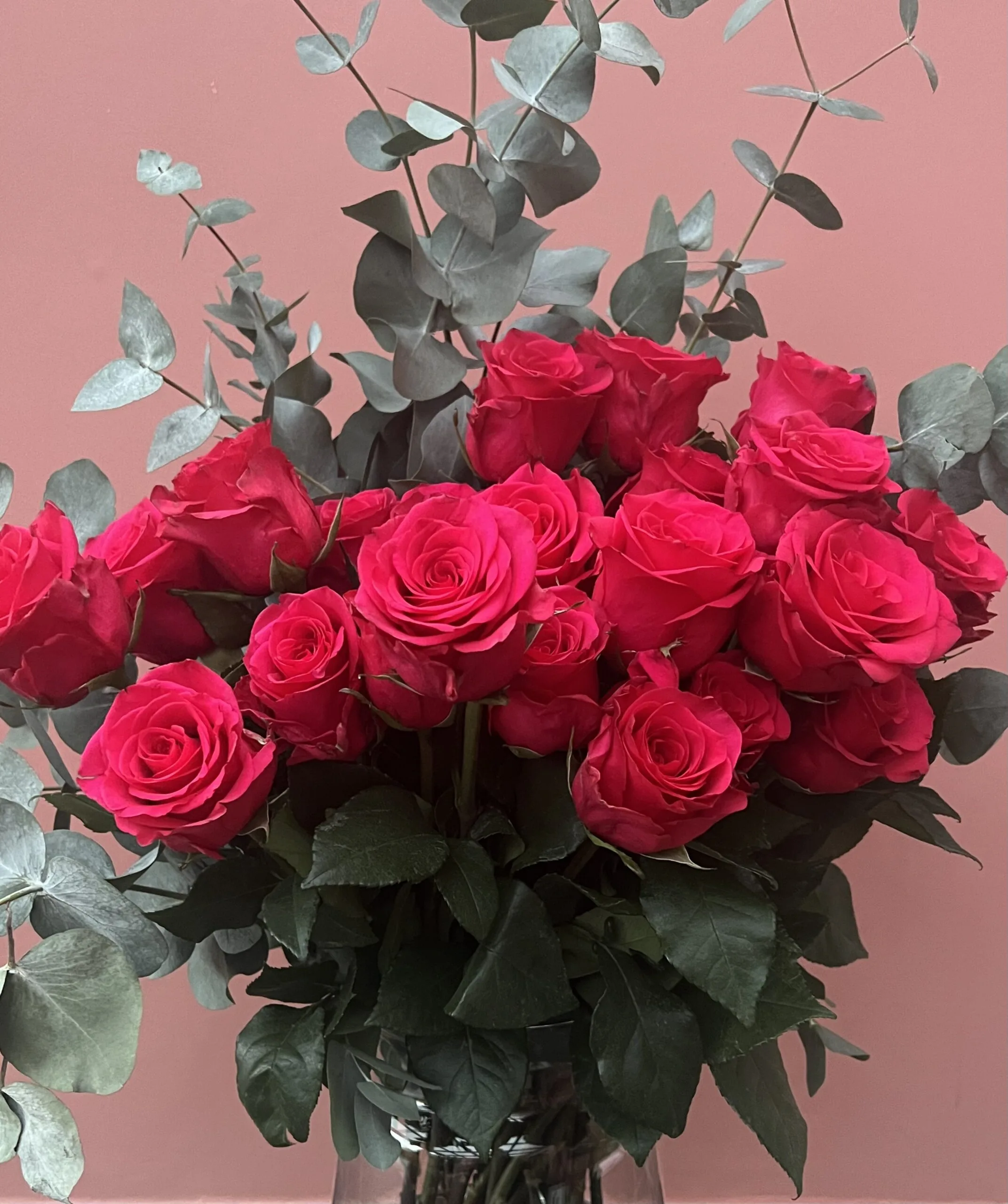 Luxury ‘Tacazi’          Ecuadorean Roses