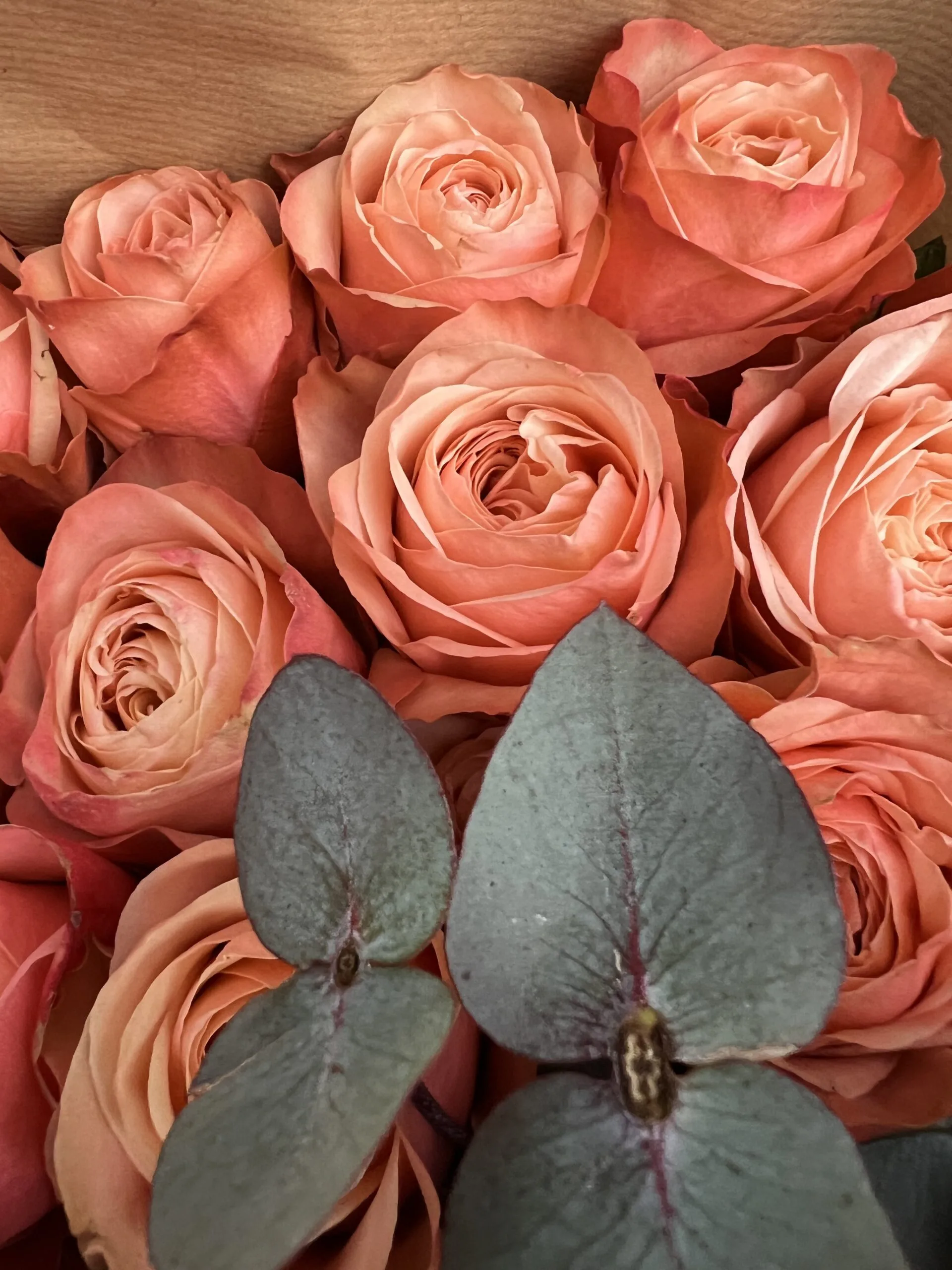 Weekly Luxury Rose Subscription - Image 4