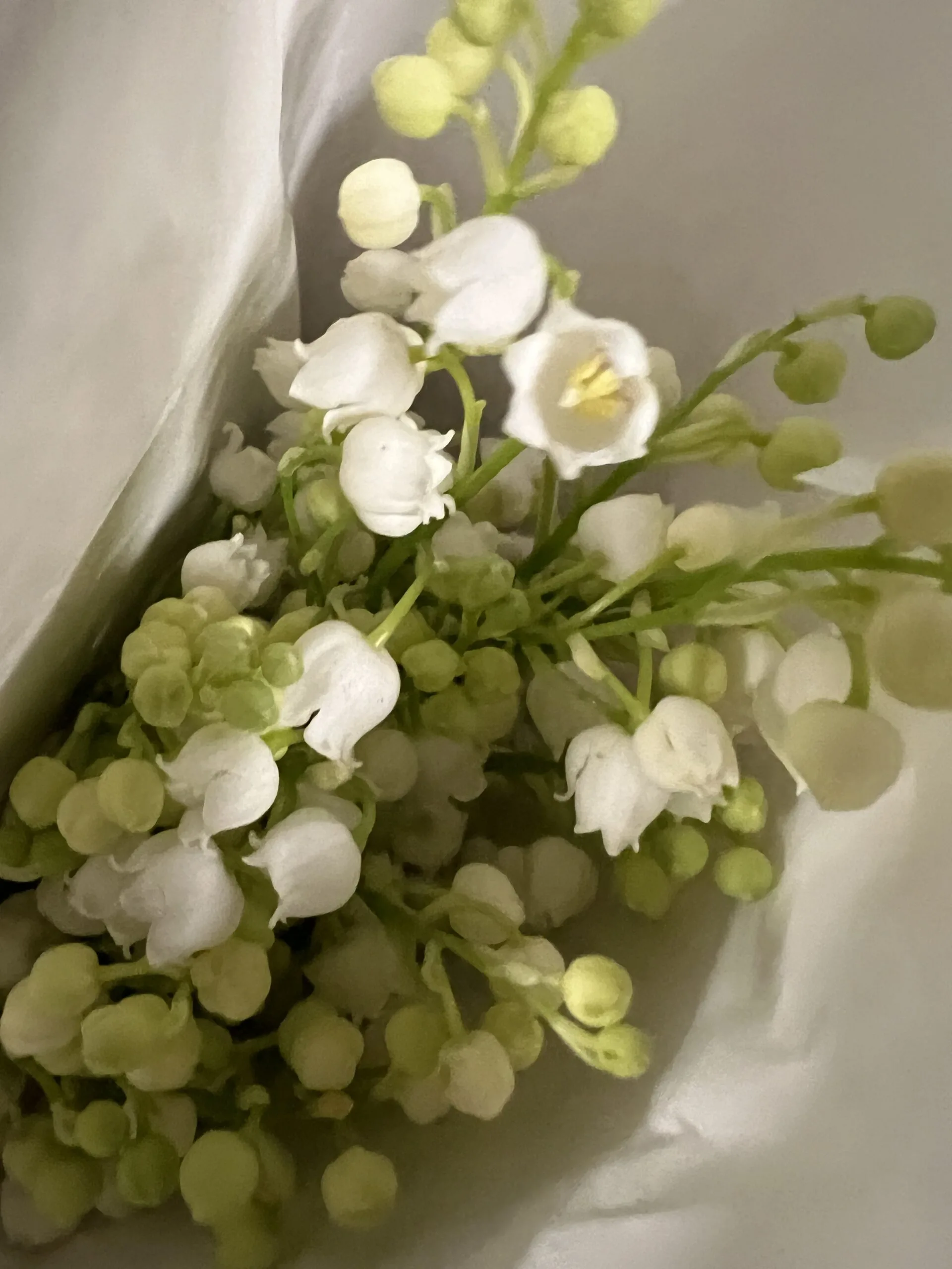 Lily of The Valley