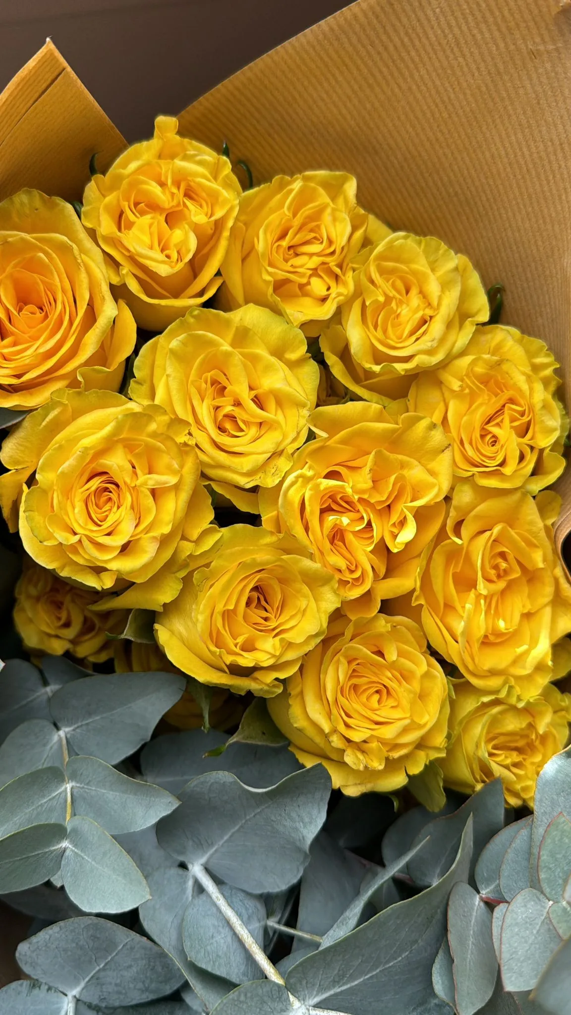Luxury Brighton Ecuadorean Roses